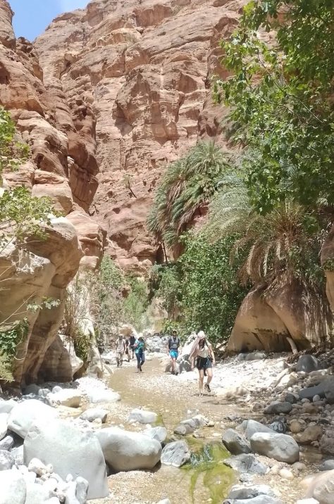 Jordan - Trek to Petra, 100km to the Dead Sea