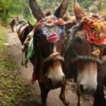 360 Expeditions expedition photo 1